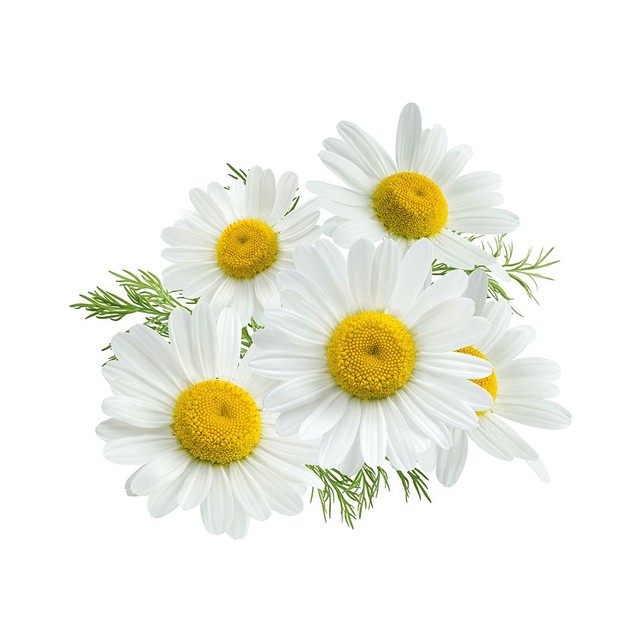 RUZMARIN set | Rossen Natural